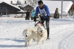 Lenk 2012 SM
